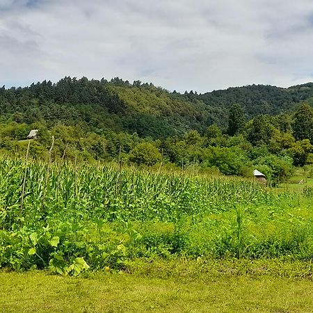 Pensiunea Sanziene Strîmtura Exterior foto