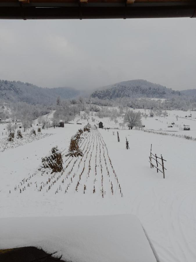 Pensiunea Sanziene Vila Strîmtura Exterior foto