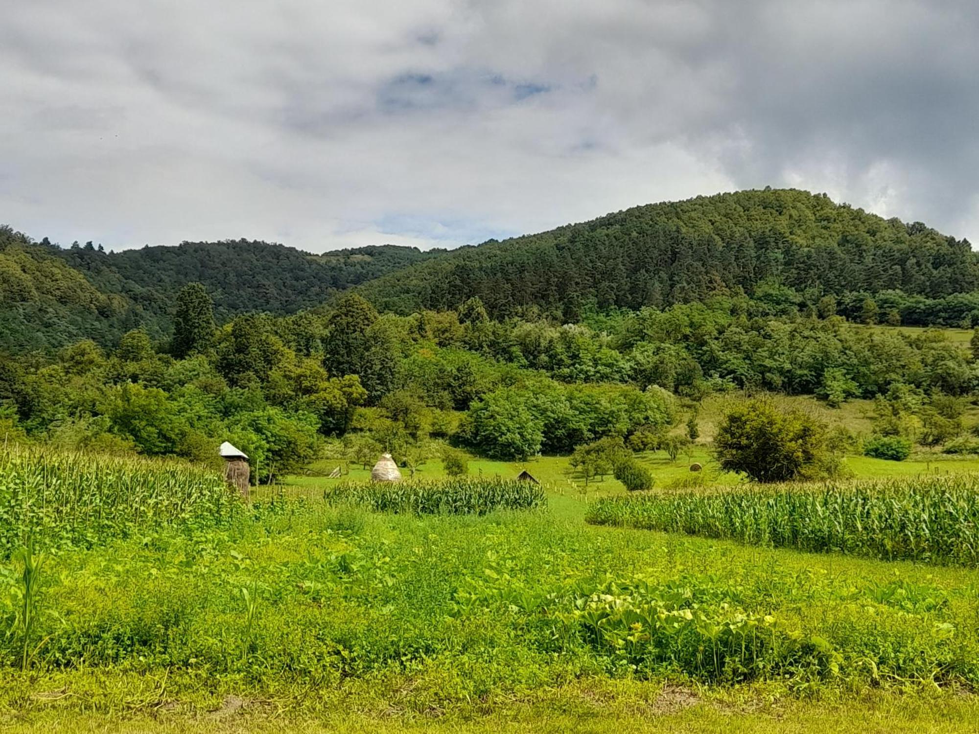 Pensiunea Sanziene Vila Strîmtura Exterior foto