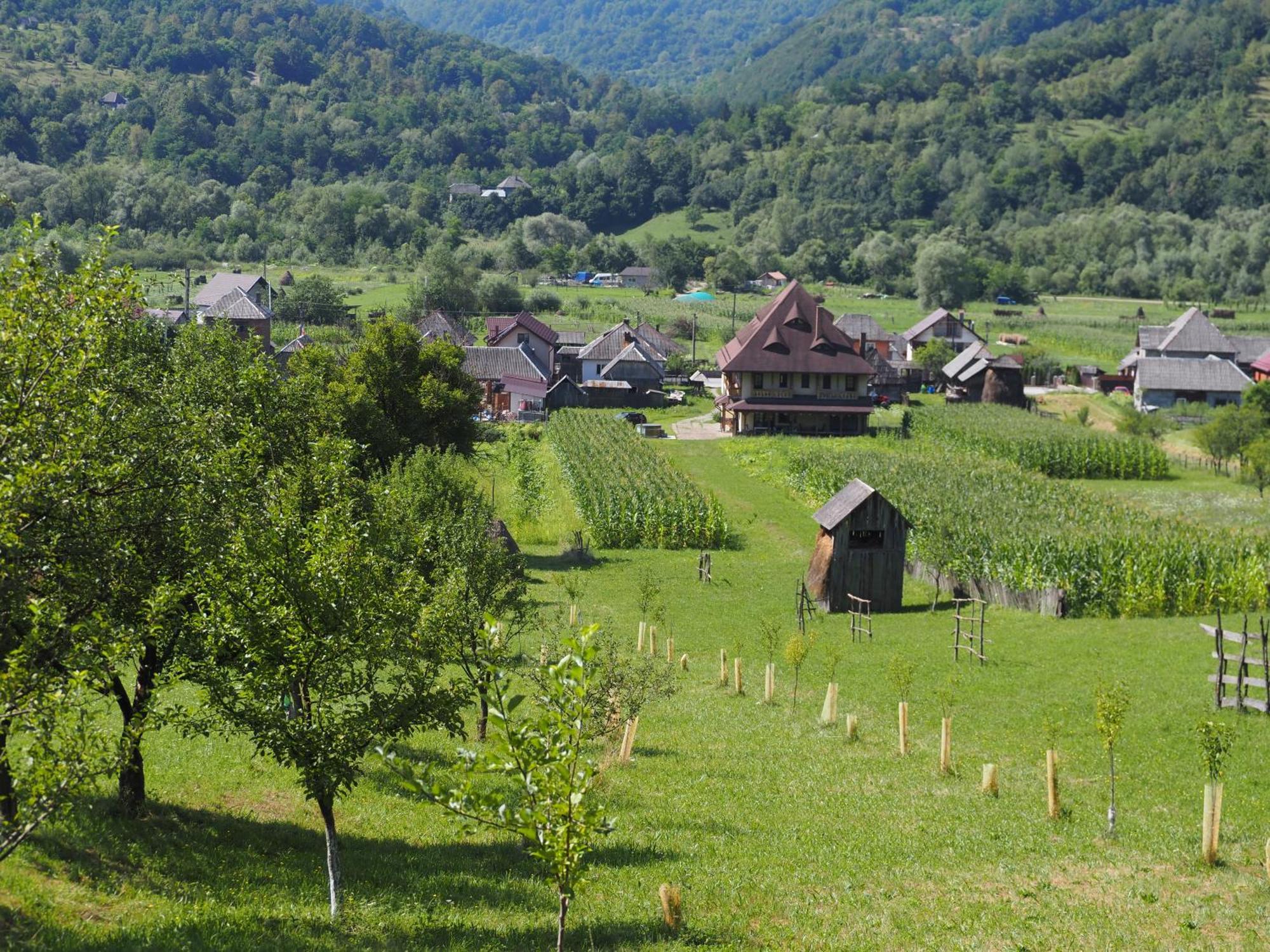 Pensiunea Sanziene Vila Strîmtura Exterior foto