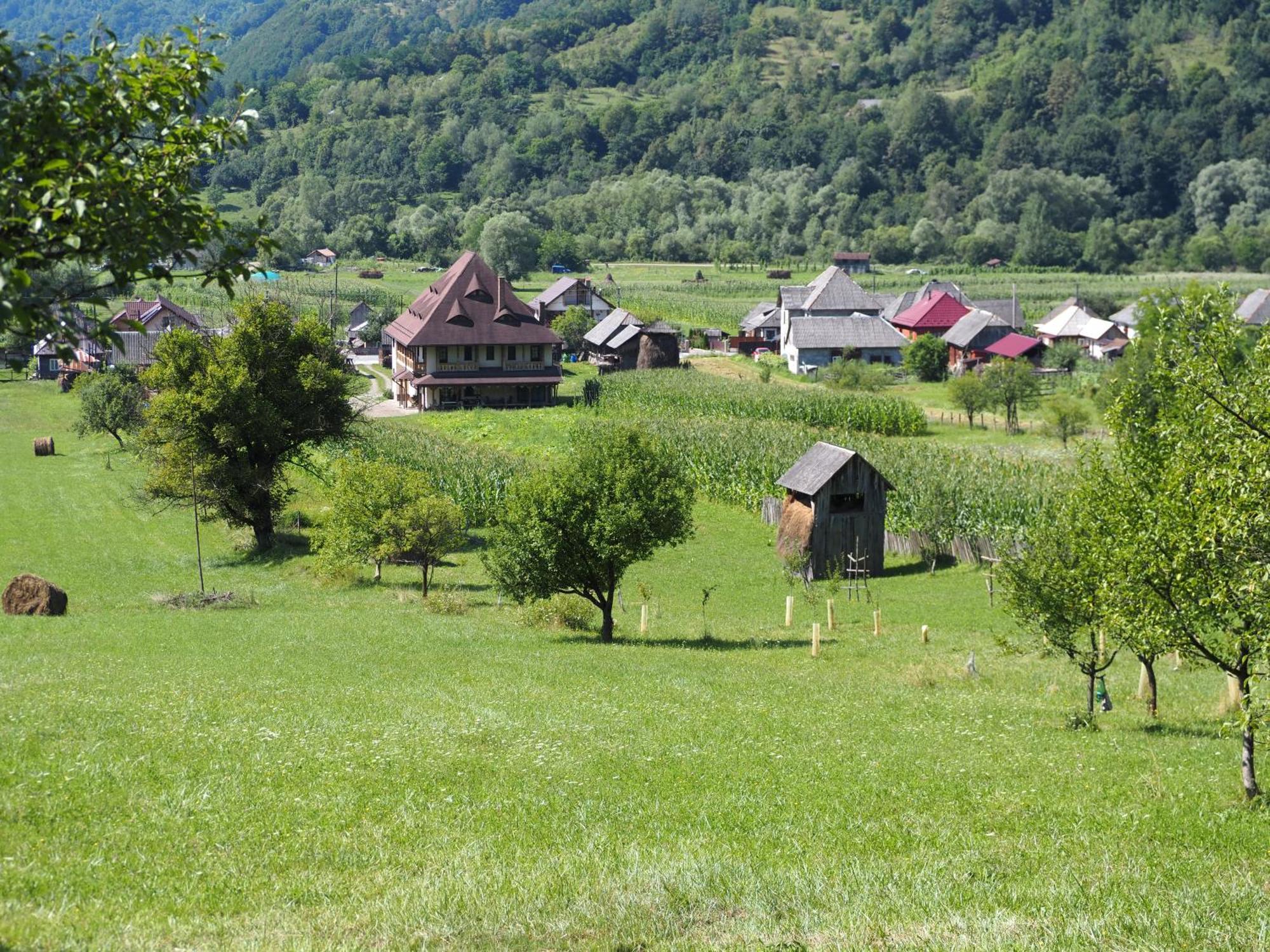 Pensiunea Sanziene Strîmtura Exterior foto
