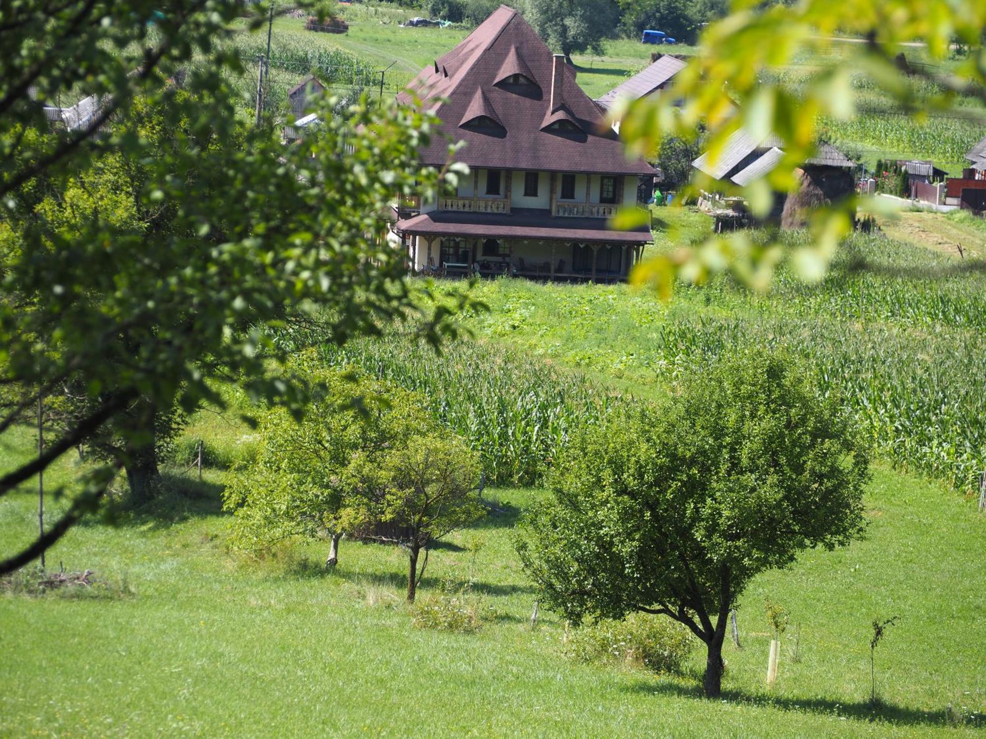 Pensiunea Sanziene Vila Strîmtura Exterior foto