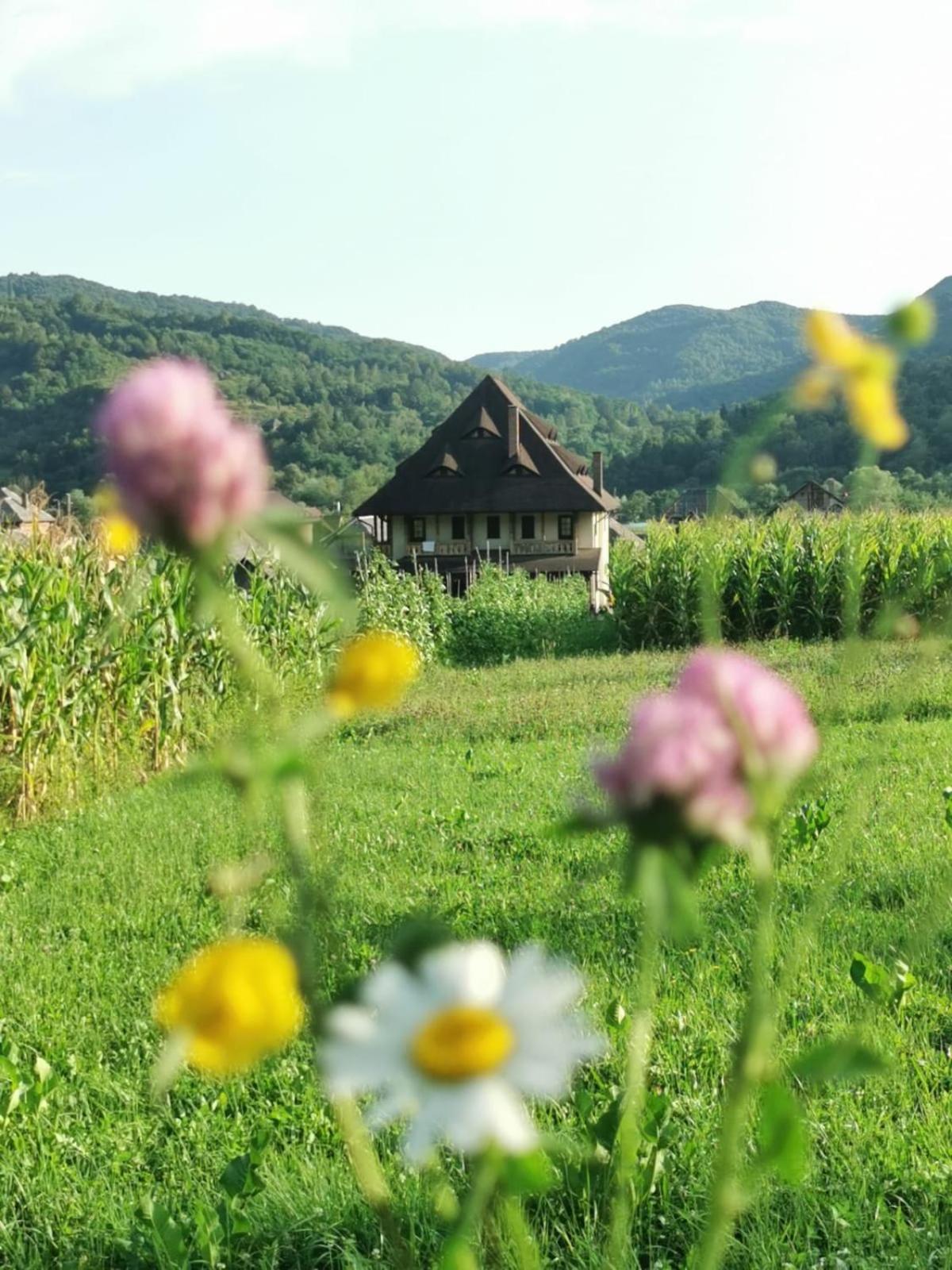 Pensiunea Sanziene Vila Strîmtura Exterior foto